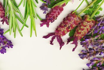 Lavender and Sleep Aromatherapy Benefits