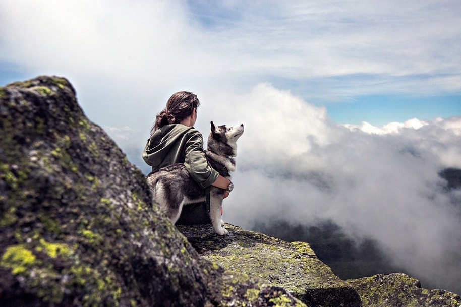 Four-legged friend